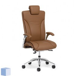 Salveo Directie Stoel