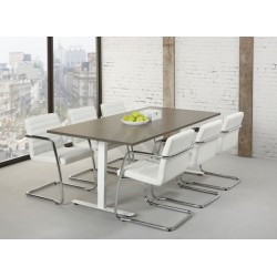 Bureau-tafel TZ 200 x 100